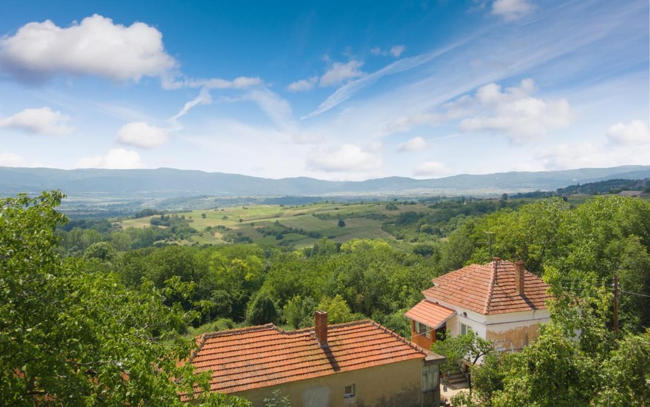 Hostal Irina Soko Banja Exterior foto